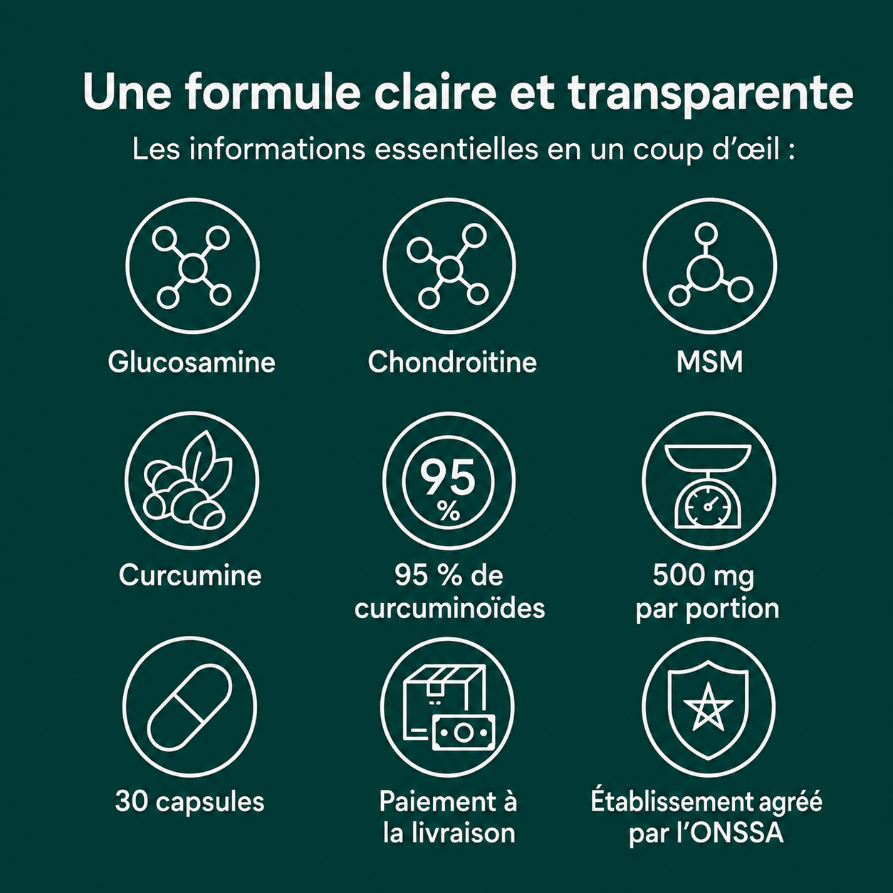 Turmeric Curcumin